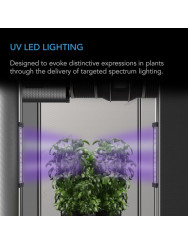 AC Infinity IONBEAM U2 – UV-supplement voor Maximale Aroma & Harsvorming