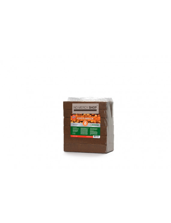 Bionova Cocos Bricks (6 stuks verpakking)