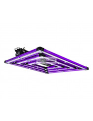 Ferna Home Grow Set 60 X 60 X 160cm met Lumatek ATS Pro 300W