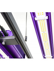 Lumatek Zeus 465W Pro 3.1 – De Nieuwe Standaard voor 1,2m x 1,2m