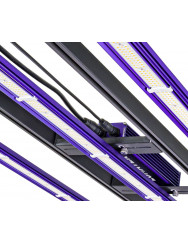 Lumatek Zeus 300W Pro 3.1 – Maximale Kracht voor 1,2m x 0,6m