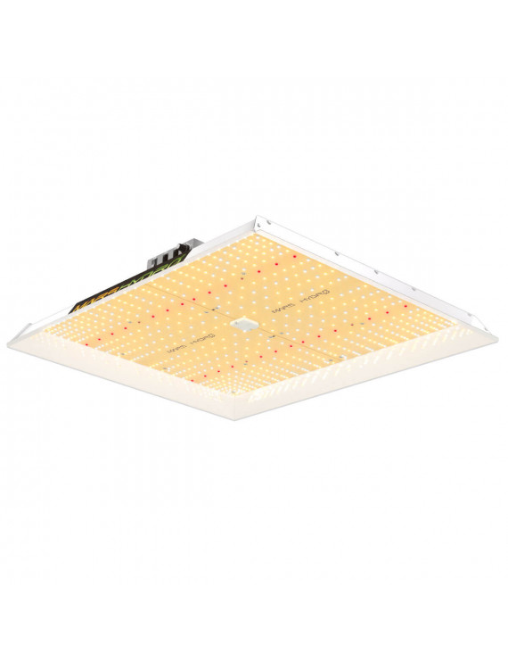 Mars Hydro – TSW-2000