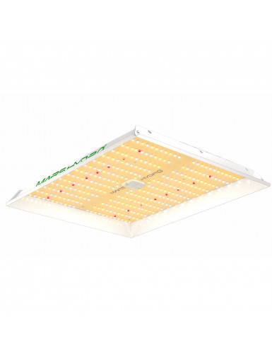 Mars Hydro – TS-1000