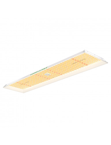 Mars Hydro – TSL-2000