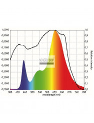 Spectrolight Starter 250