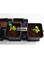 AutoPot 1Pot 2 Potten Water Systeem Starter Set incl. Tank