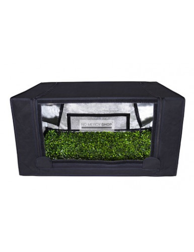 Garden Highpro Probox Propagator M 80x60x40 cm