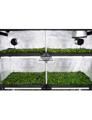 Garden Highpro Probox Propagator XL 120x40x200 cm