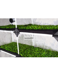 Garden Highpro Probox Propagator XL 120x40x200 cm