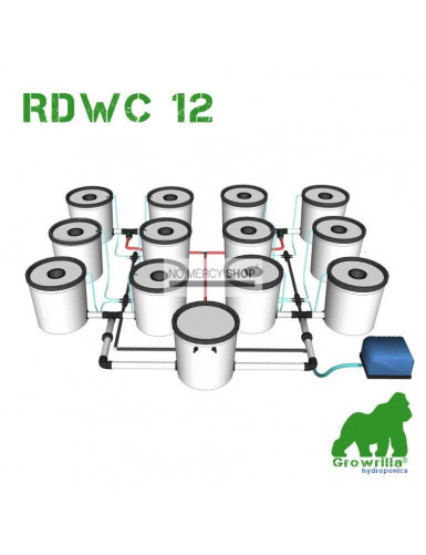 Growrilla Hydroponic system RDWC 12