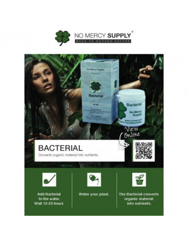 No Mercy Supply Bacterial 200ml