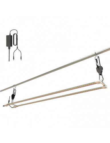 Secret Jardin – TNOLED 2x40W Bloei