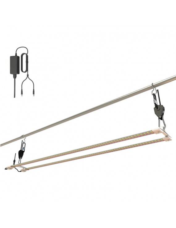 Secret Jardin – TNOLED 2x40W Bloei